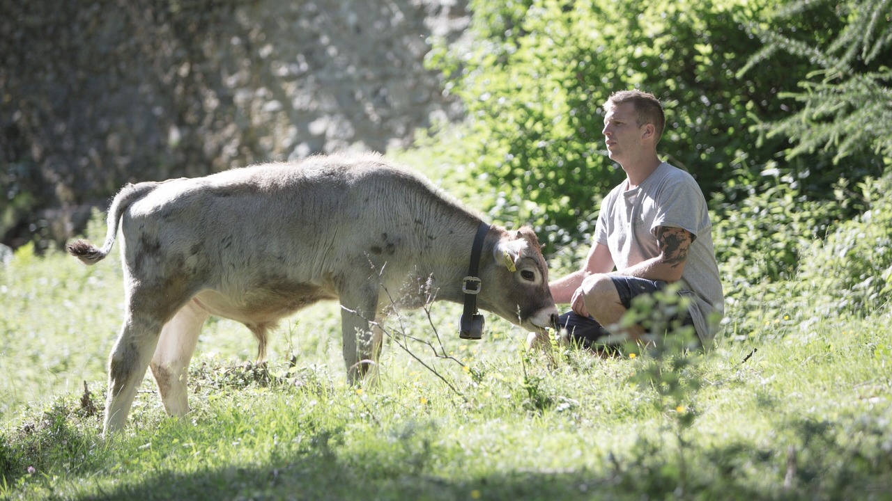 Photo of Others in Madonna di Senales