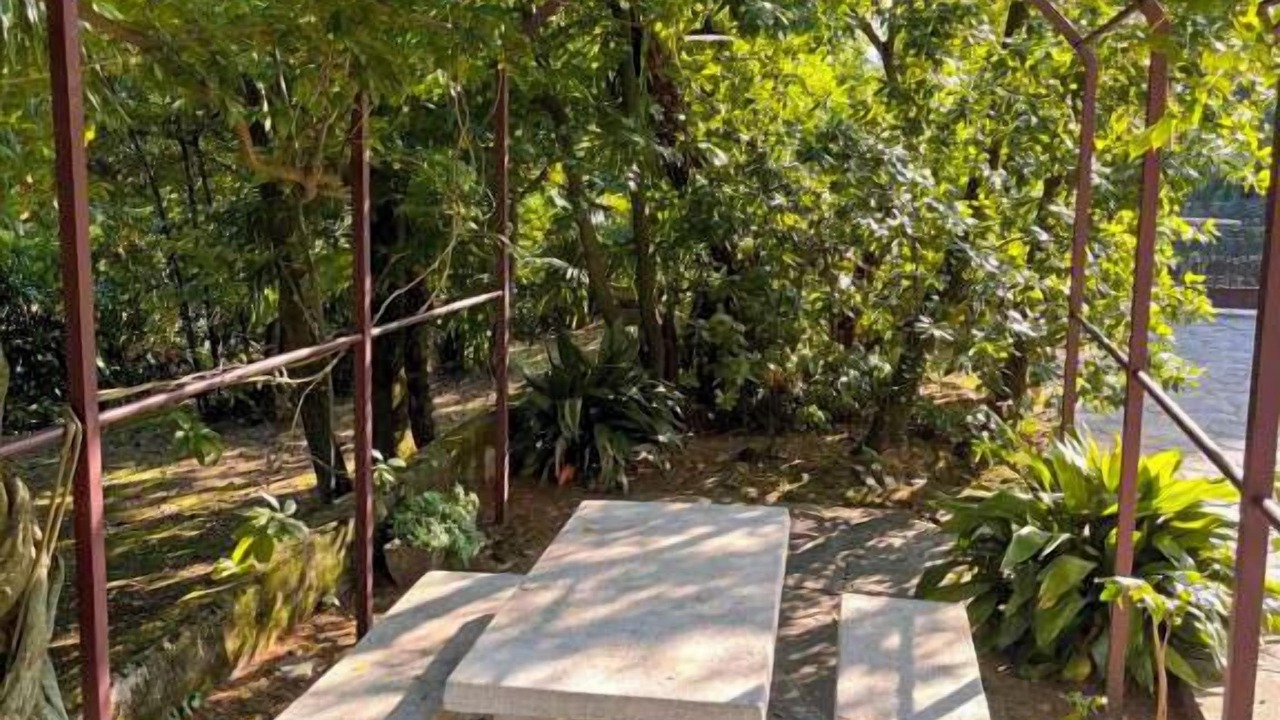 Photo of Outdoor in Lesa