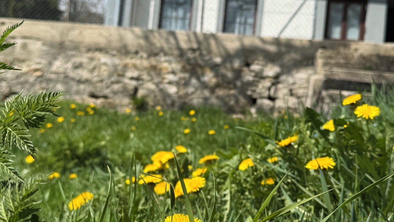 Photo of Outdoor in Le Sentier