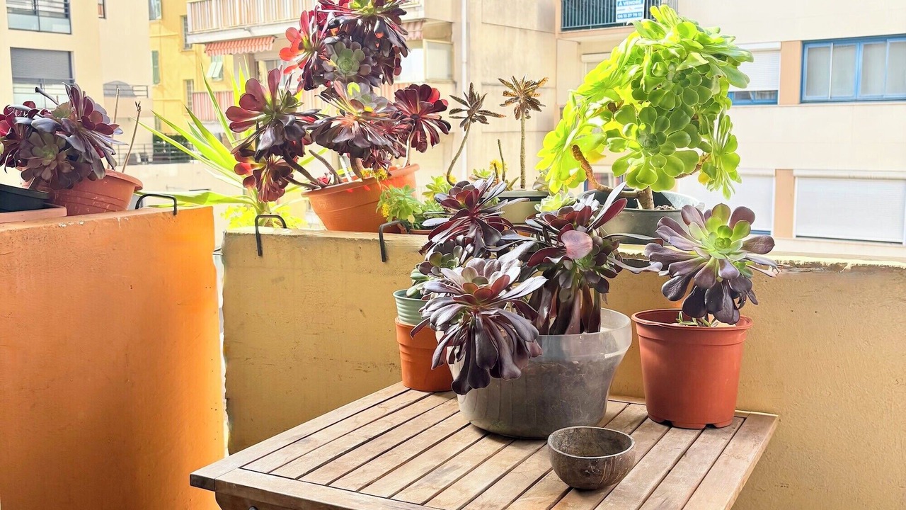 Photo of Outdoor in Gambetta
