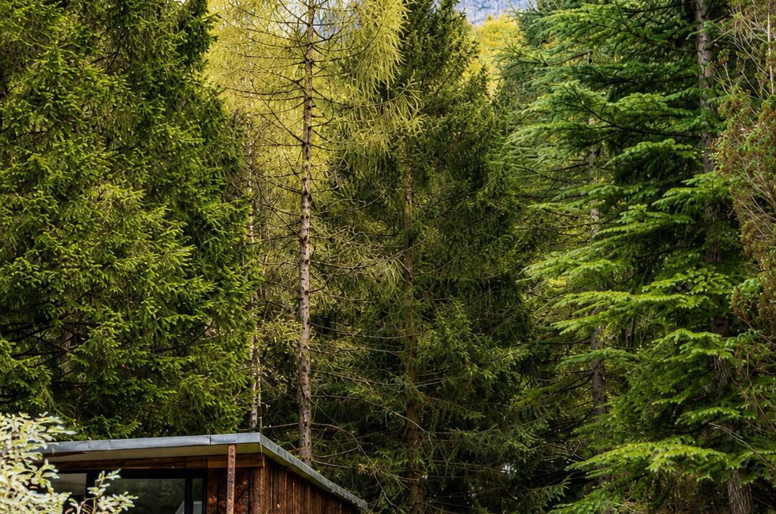 Photo of Outdoor in Oltre il Colle