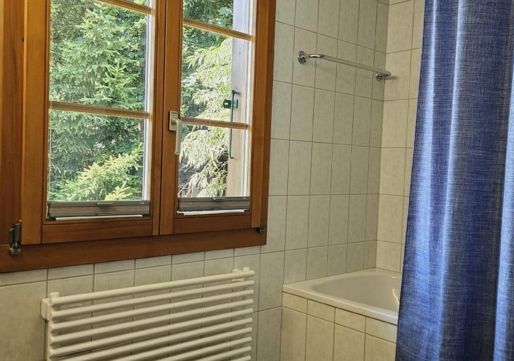 Photo of Bathroom in Grindelwald