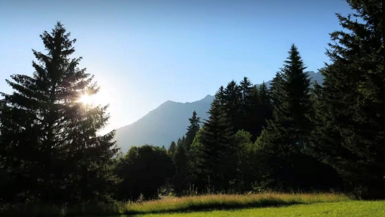 Photo of Others in Ormont-Dessus
