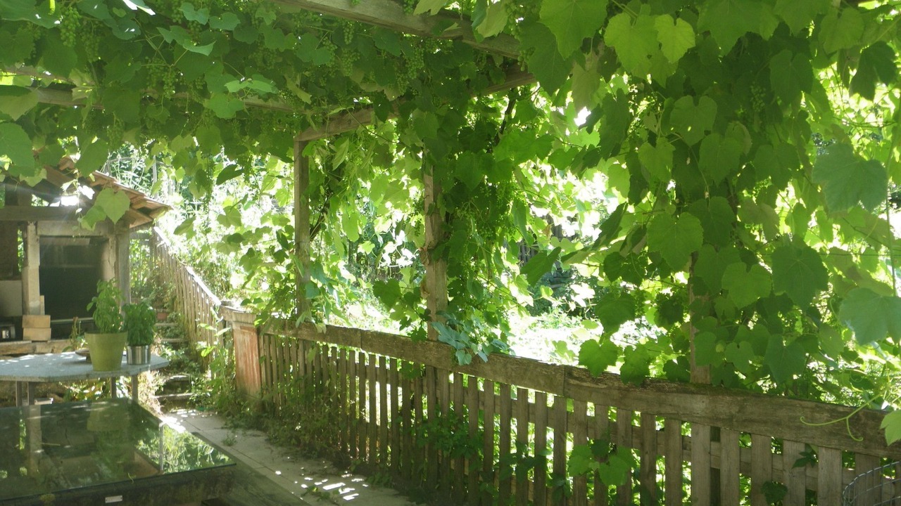 Photo of Others in Saint-Ursanne