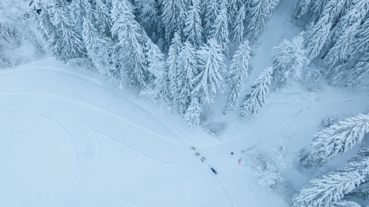 Photo of Others in Champery