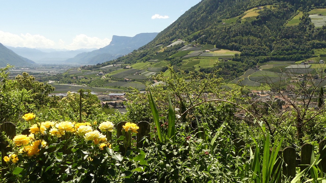 Photo of Outdoor in Lagundo
