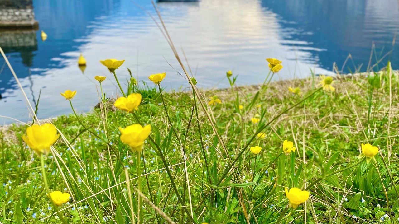 Photo of Outdoor in Abbadia Lariana