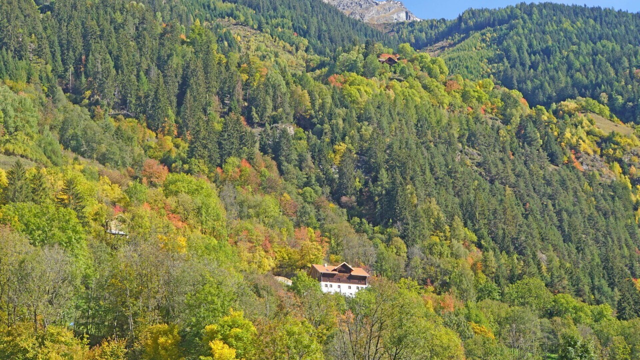 Photo of Others in Kaunerberg