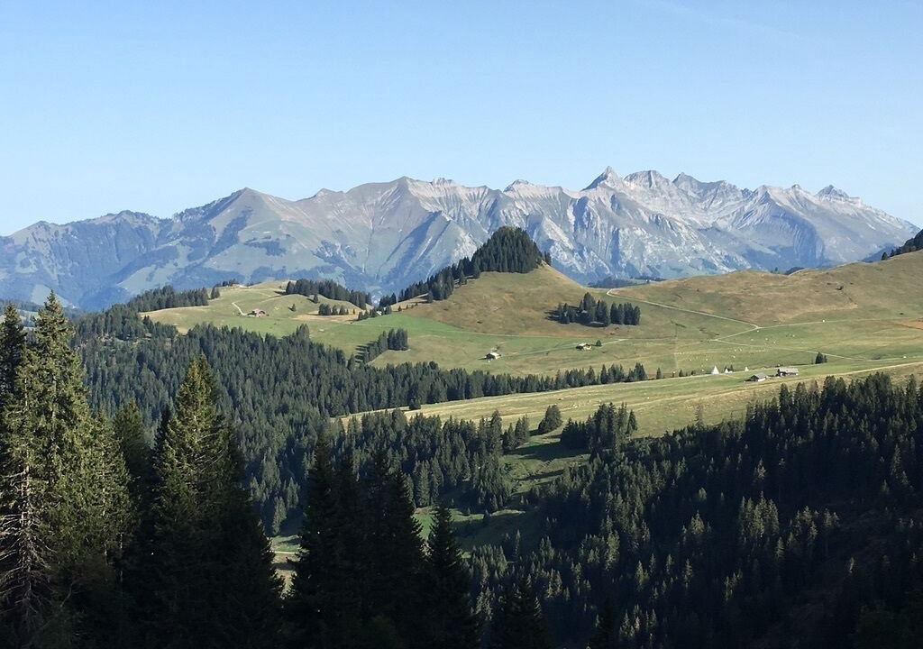 Photo of Outdoor in Ormont-Dessous