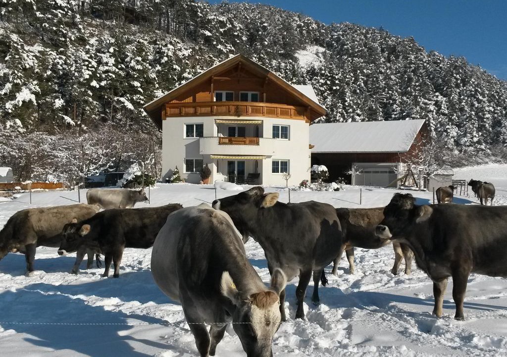 Photo of Others in Arzl im Piztal