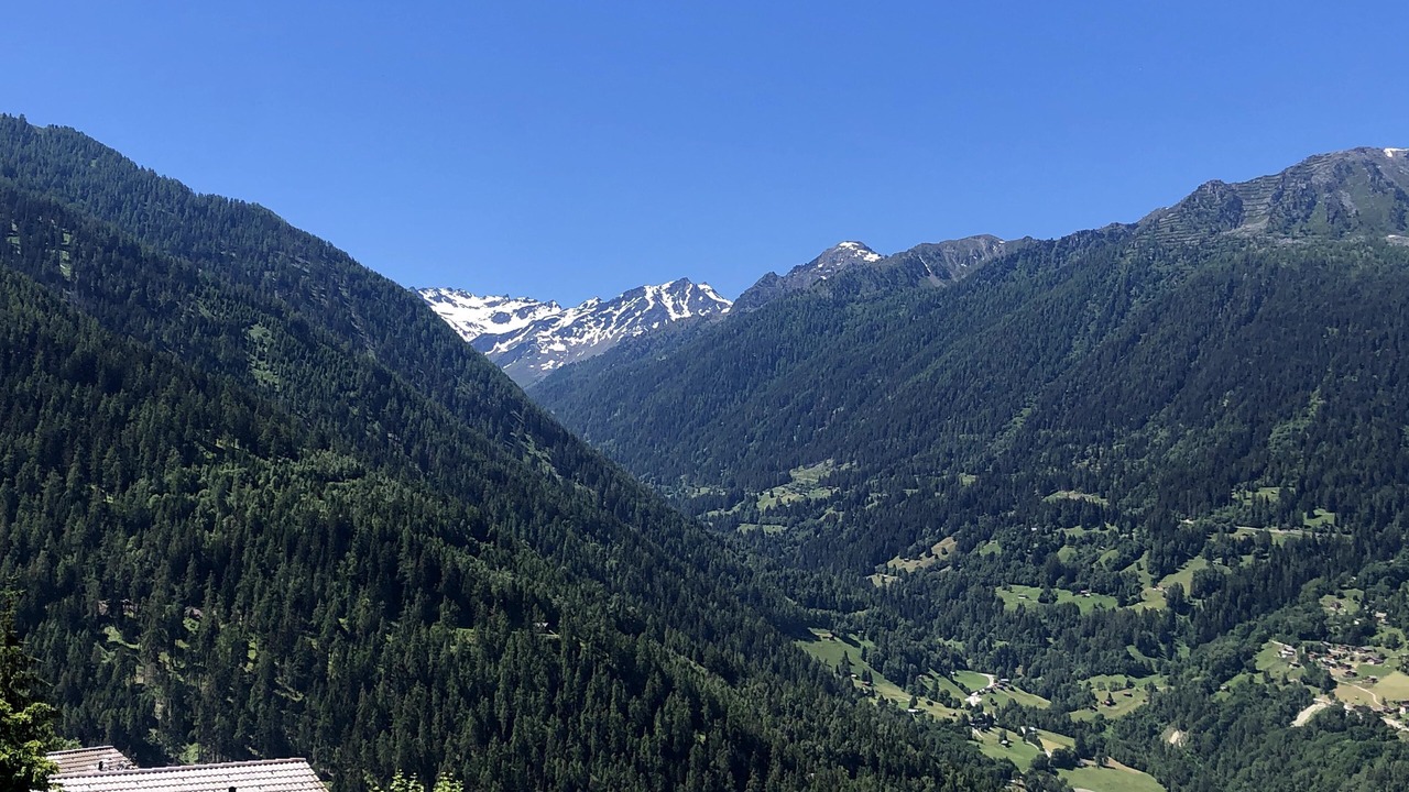 Photo of Others in Nendaz