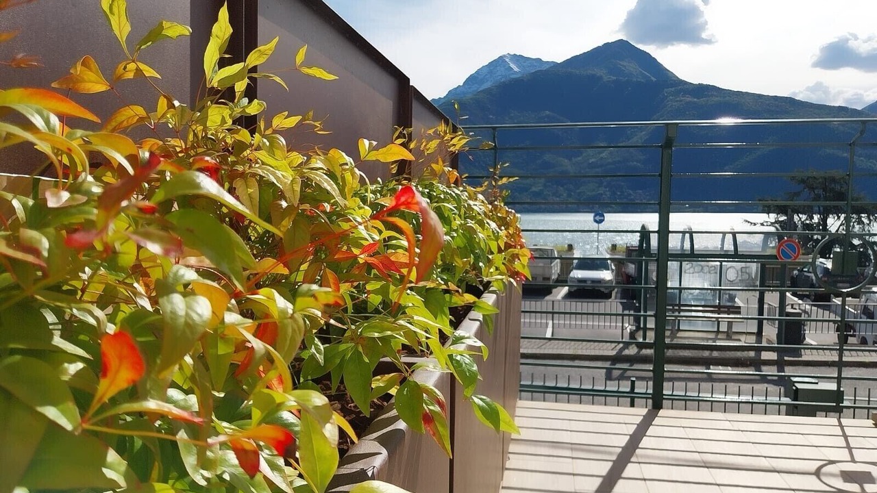 Photo of Outdoor in Calozzo