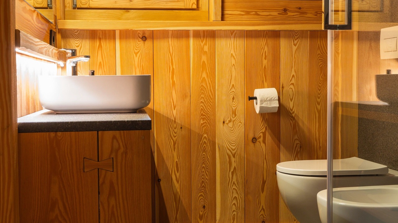 Photo of Bathroom in Carisolo
