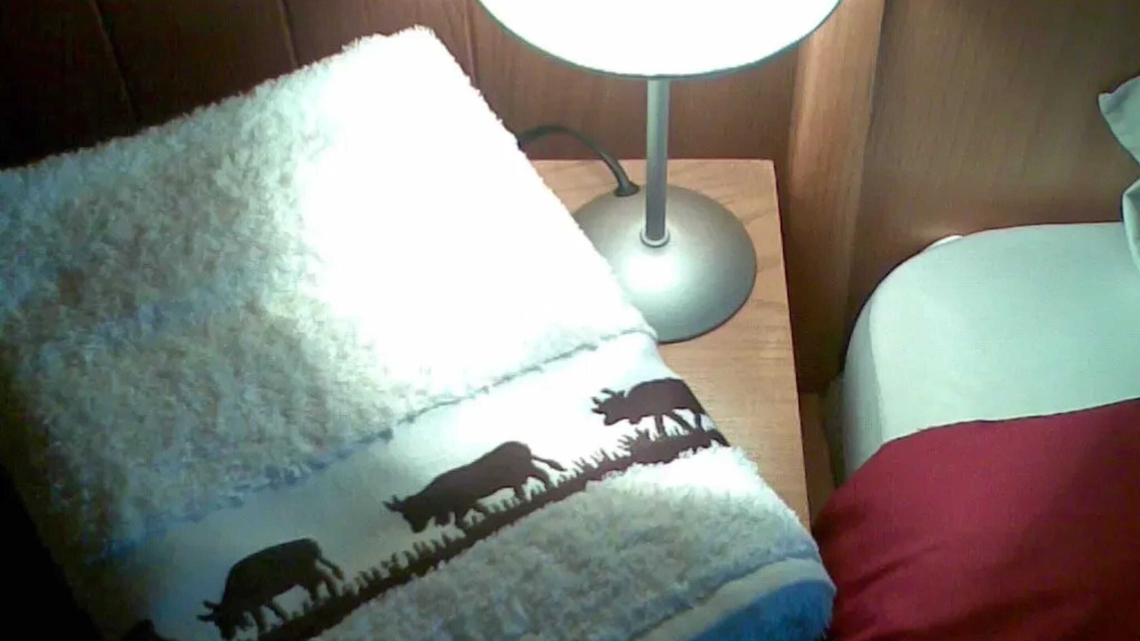 Photo of Bedroom in Haut-Intyamon
