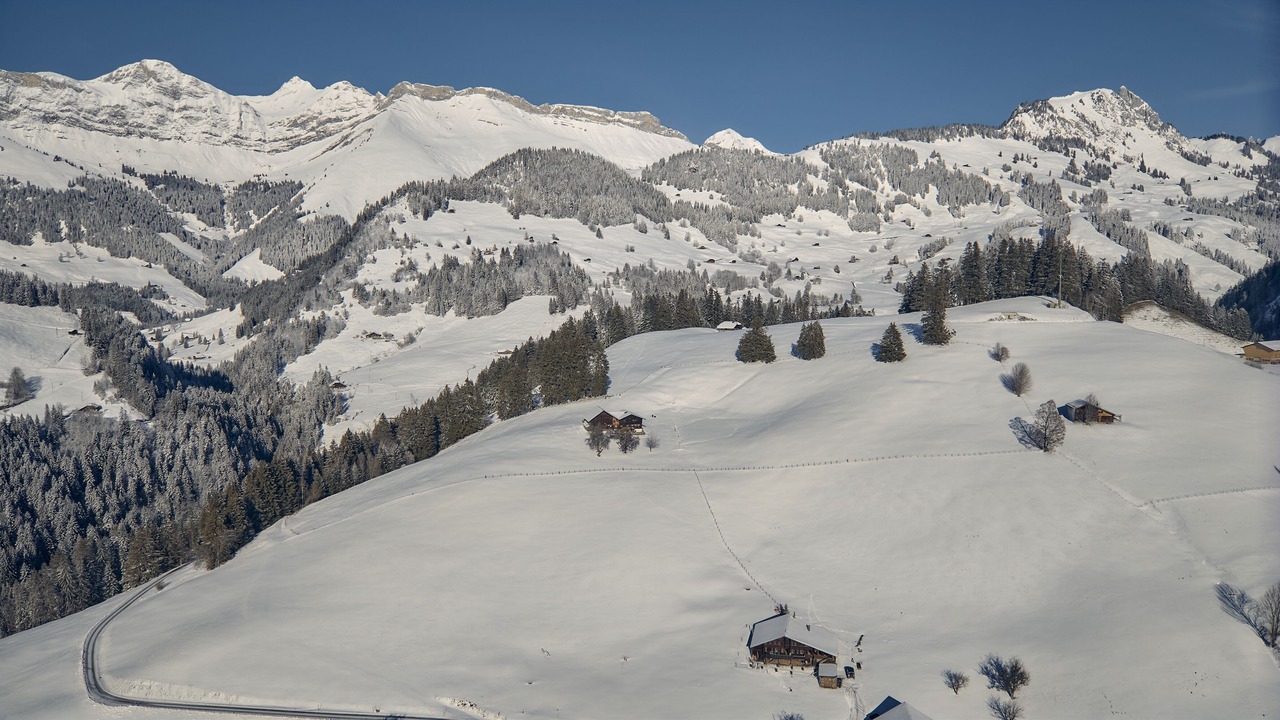Photo of Others in Saanen