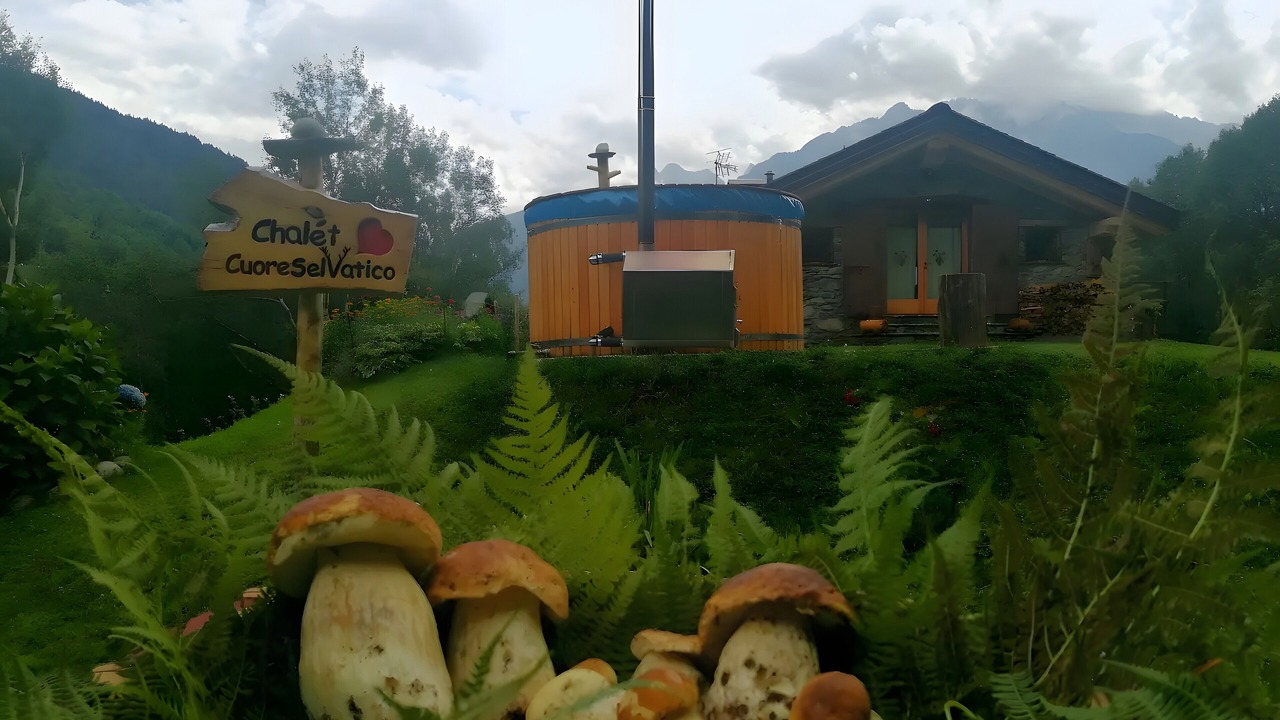 Photo of Outdoor in Monno