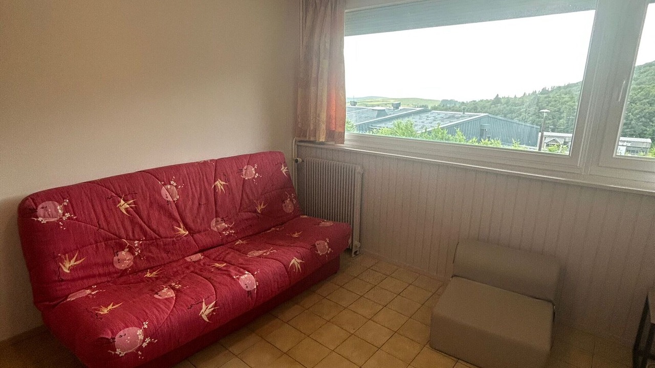 Photo of Livingroom in Besse-et-Saint-Anastaise
