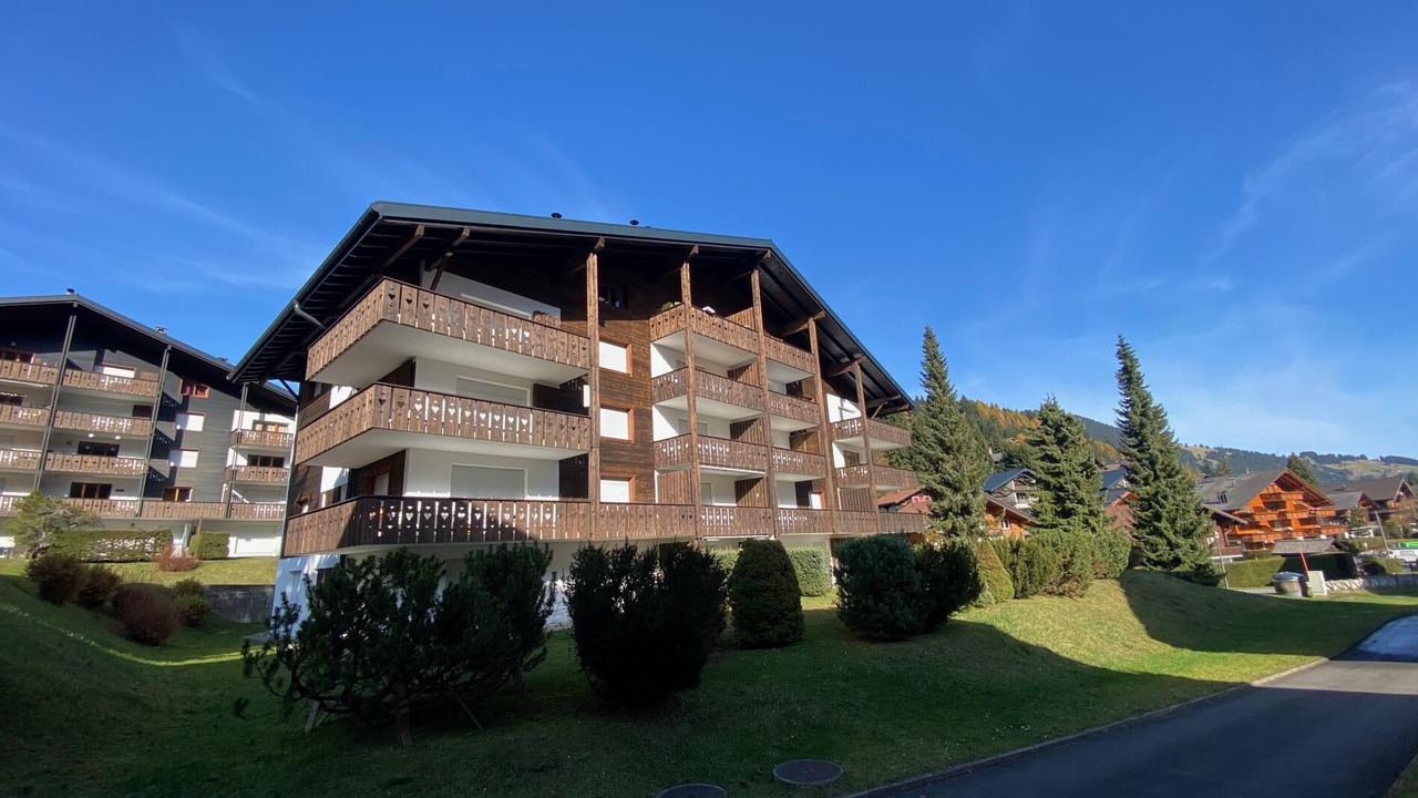 Photo of Others in Morgins