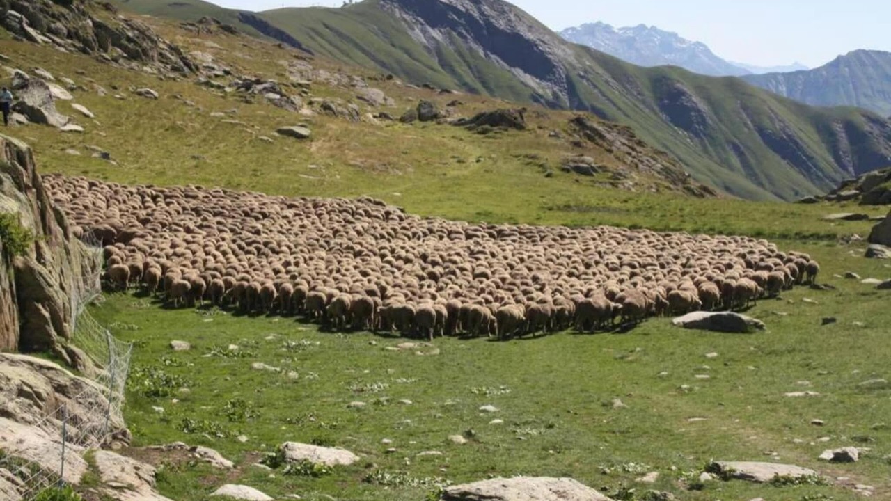Photo of Others in Saint-Sorlin-d'Arves