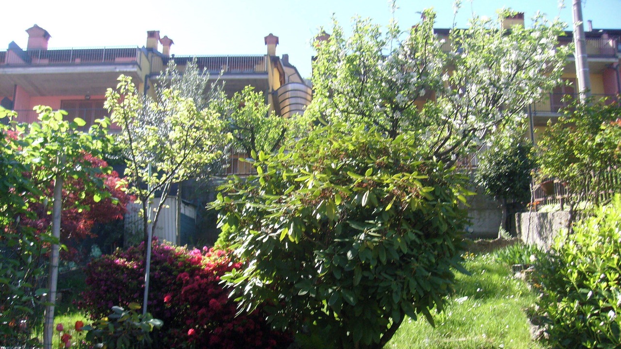 Photo of Outdoor in Bonzeno
