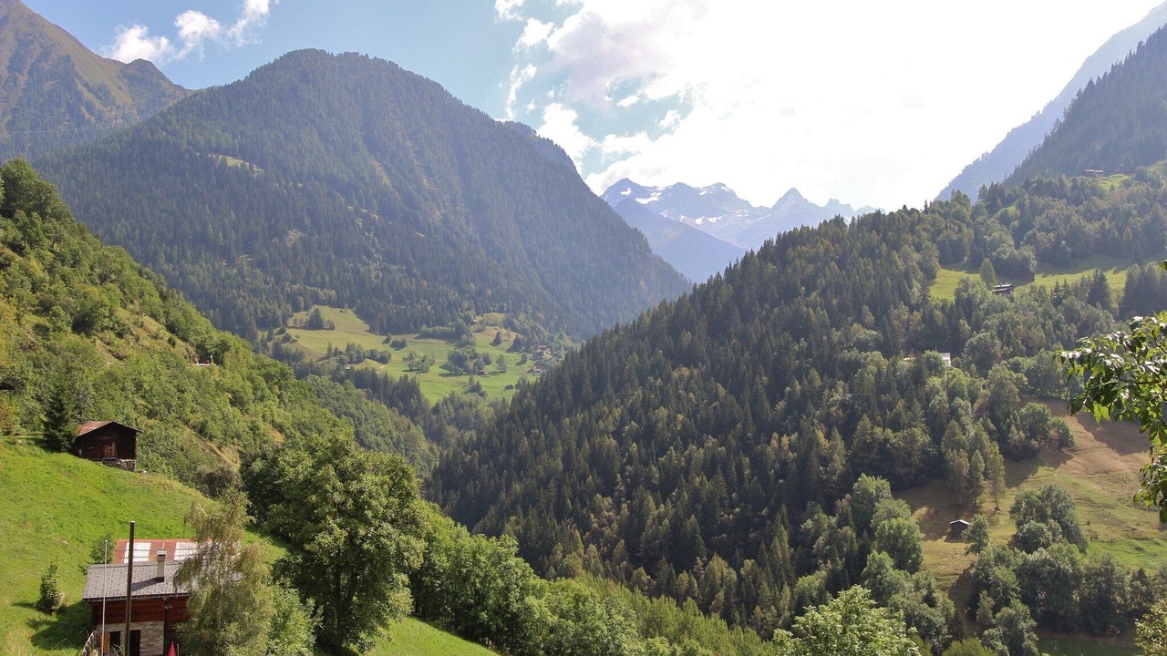 Photo of Others in Fiesch