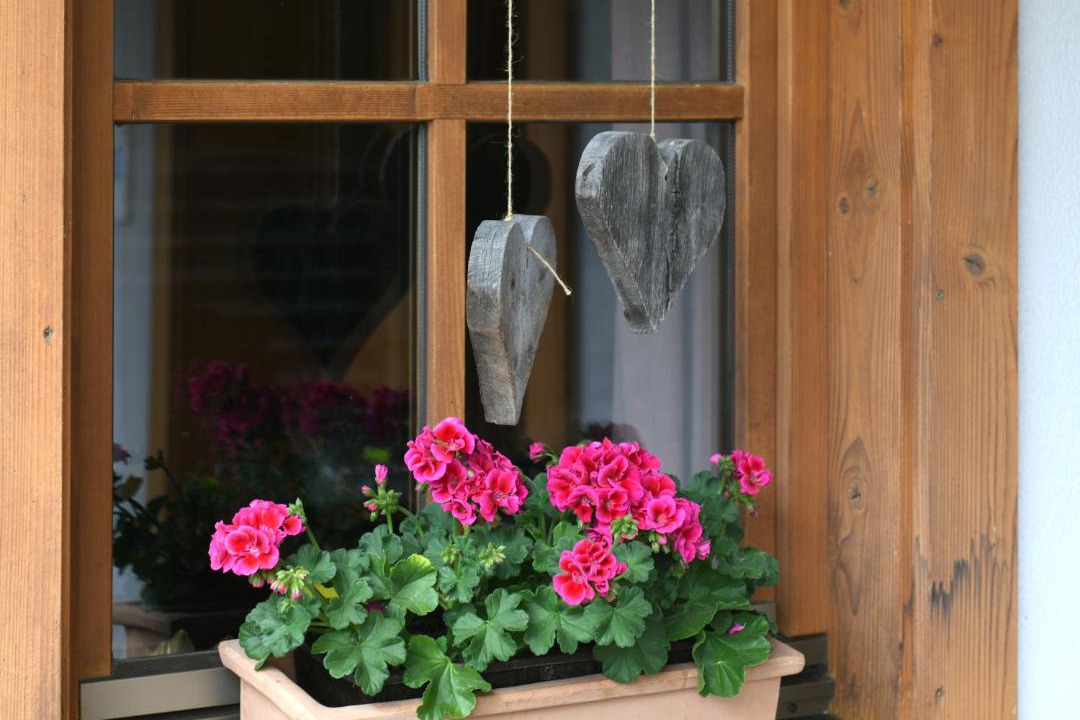 Photo of Others in Schoppernau