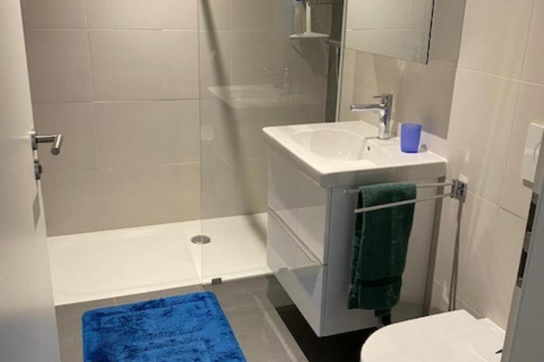Photo of Bathroom in Sion
