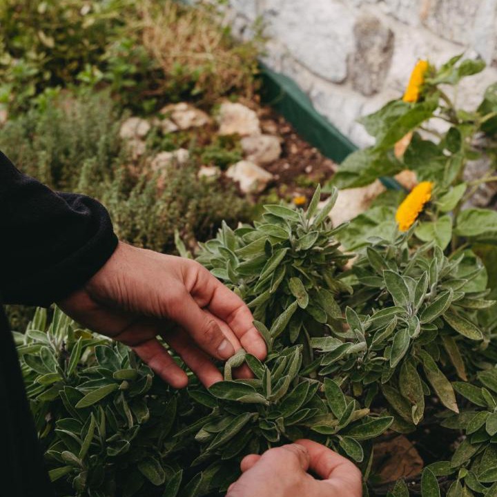 Photo of Others in Bugiallo