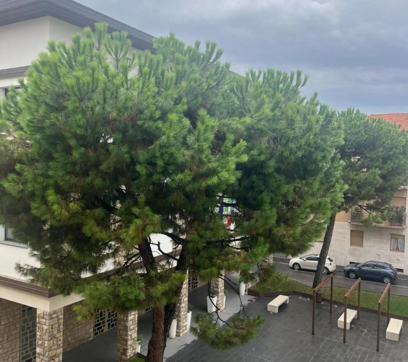 Photo of Others in Azzano San Paolo
