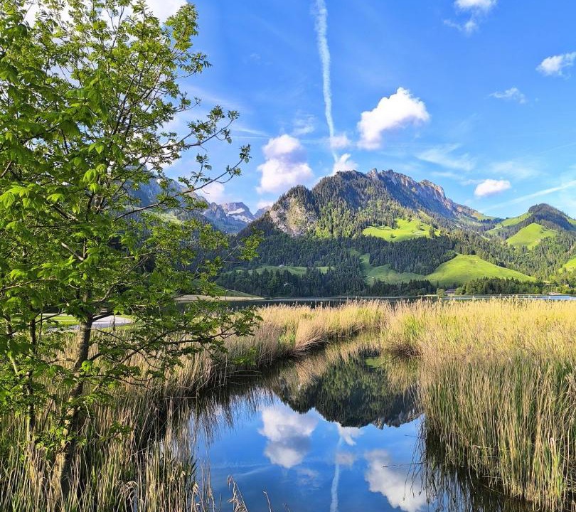 Photo of Others in Schwarzsee