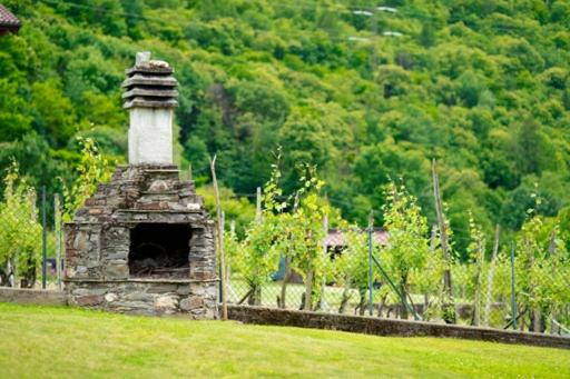 Photo of Others in Valtellina