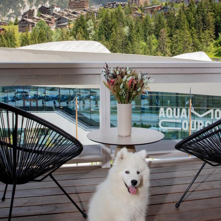 Photo of Others in Courchevel