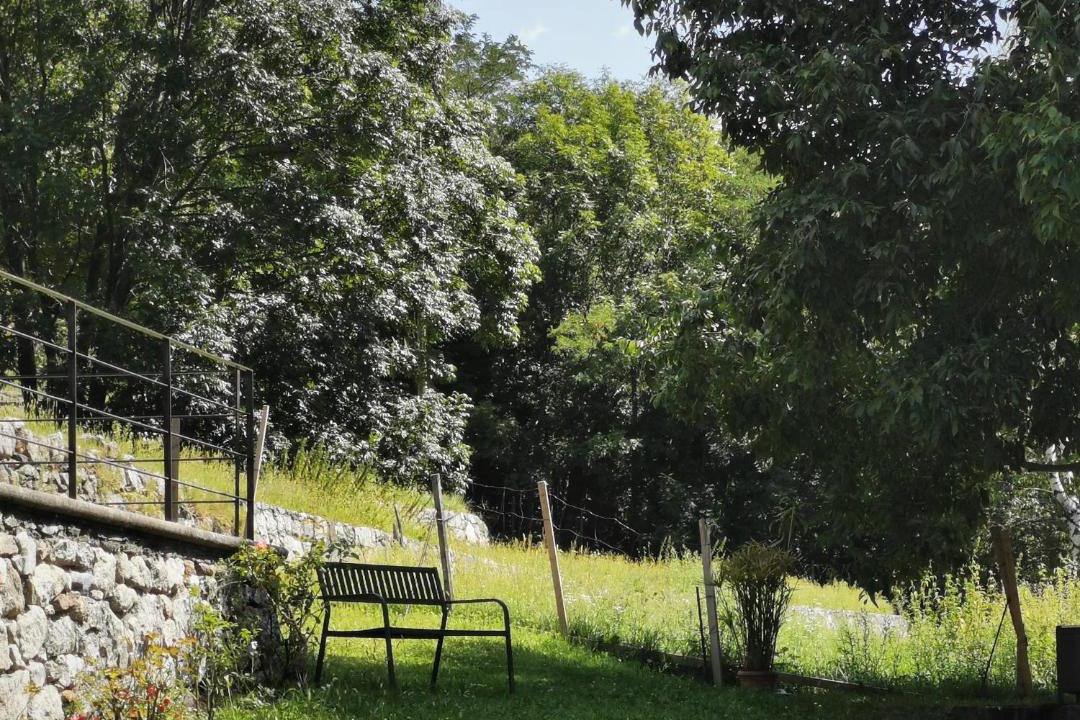 Photo of Others in Valtellina