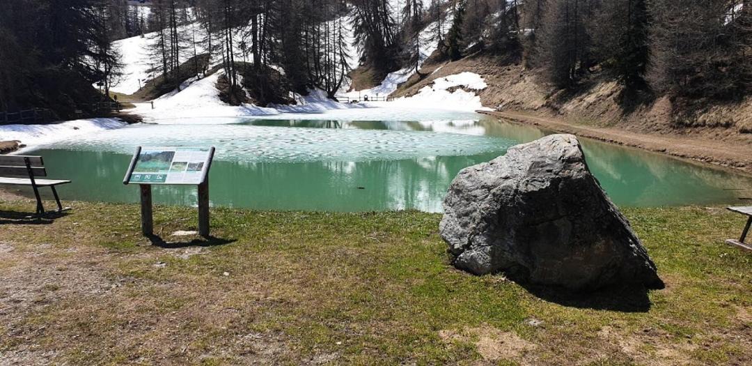 Photo of Others in Plagne 1800