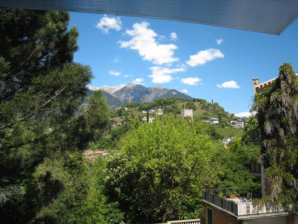 Photo of Others in Merano