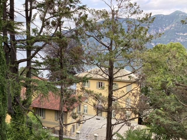 Photo of Others in Limonta