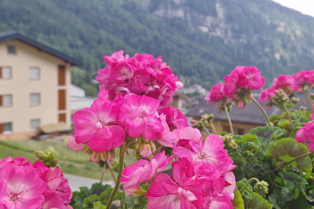 Photo of Others in Leukerbad