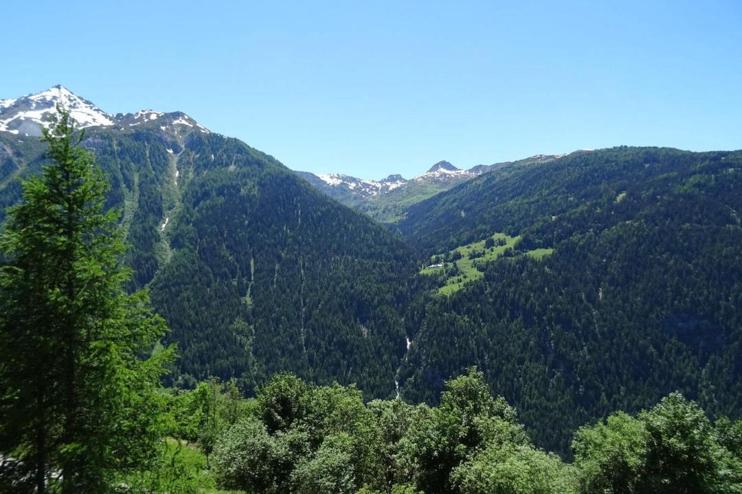 Photo of Others in Plan Peisey