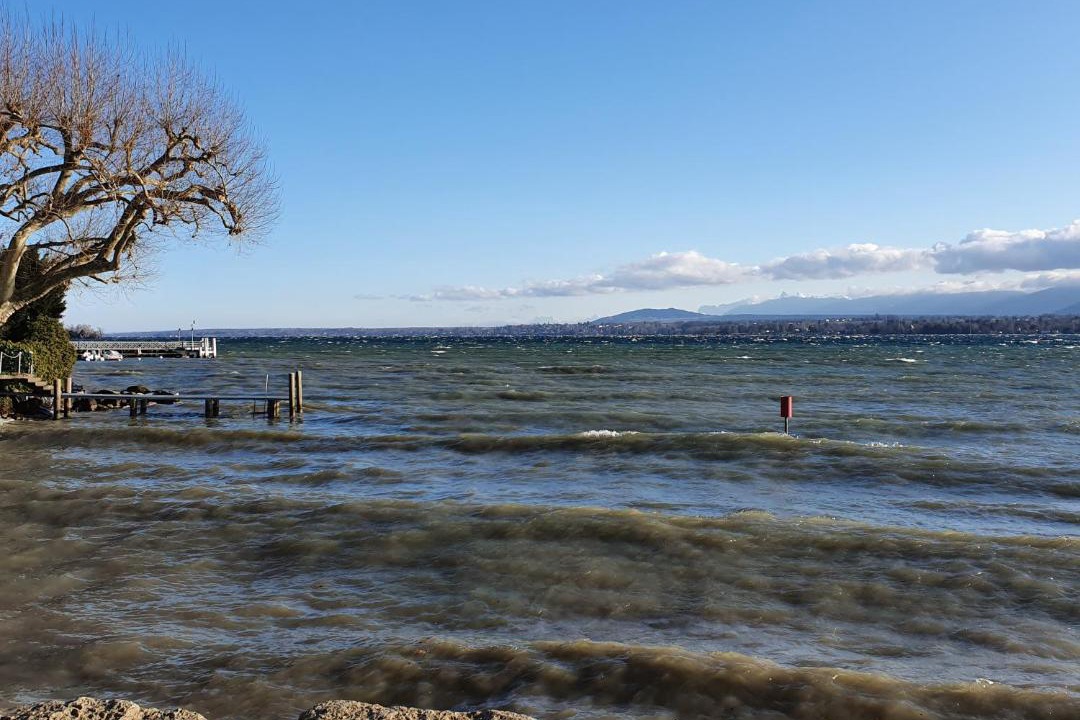 Photo of Others in Nyon