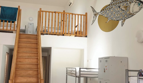 Bed in a 16-Bed Mixed Dorm with Private Bathroom