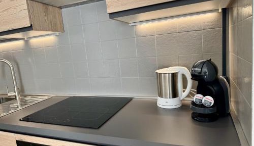 Standard Apartment