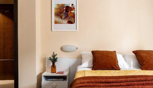 Budget Triple Room