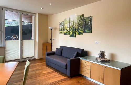 Fliess Apartment | Apartment Waldnah