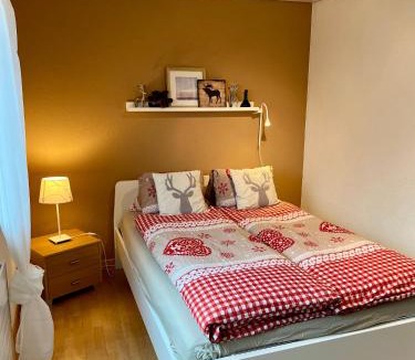 Steffisburg Apartment | Grosse Ferienwohnung ideal für Gruppen, nähe Thun und Interlaken