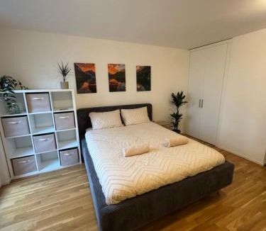 Delemont Apartment | Studio moderne avec parking