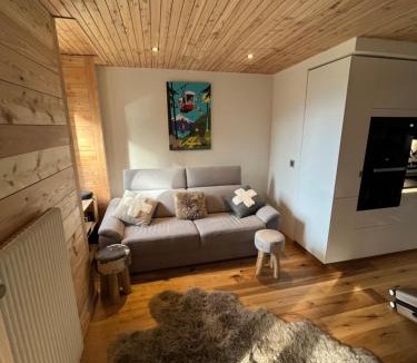 Evolene Apartment | Evolène Panorama- Renovated Apartment with Dent Blanche View 2-4 persons