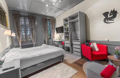 Fribourg Apartment | Chambre chaleureuse dans la vieille ville de Fribourg
