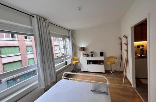 Paquis Navigation Apartment | Private Stylish Modern Studio In The City Centre