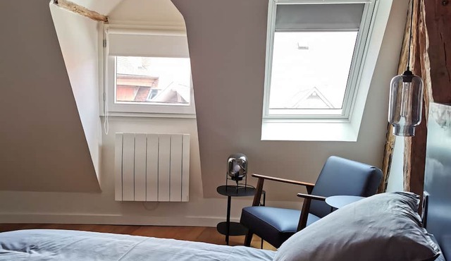 Old Annecy - 4-star apartment - near the lake - Pâquier - Historic center