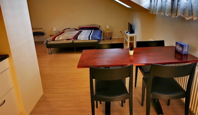 Cosy apartment for 2 people with WIFI, TV, balcony and pets allowed